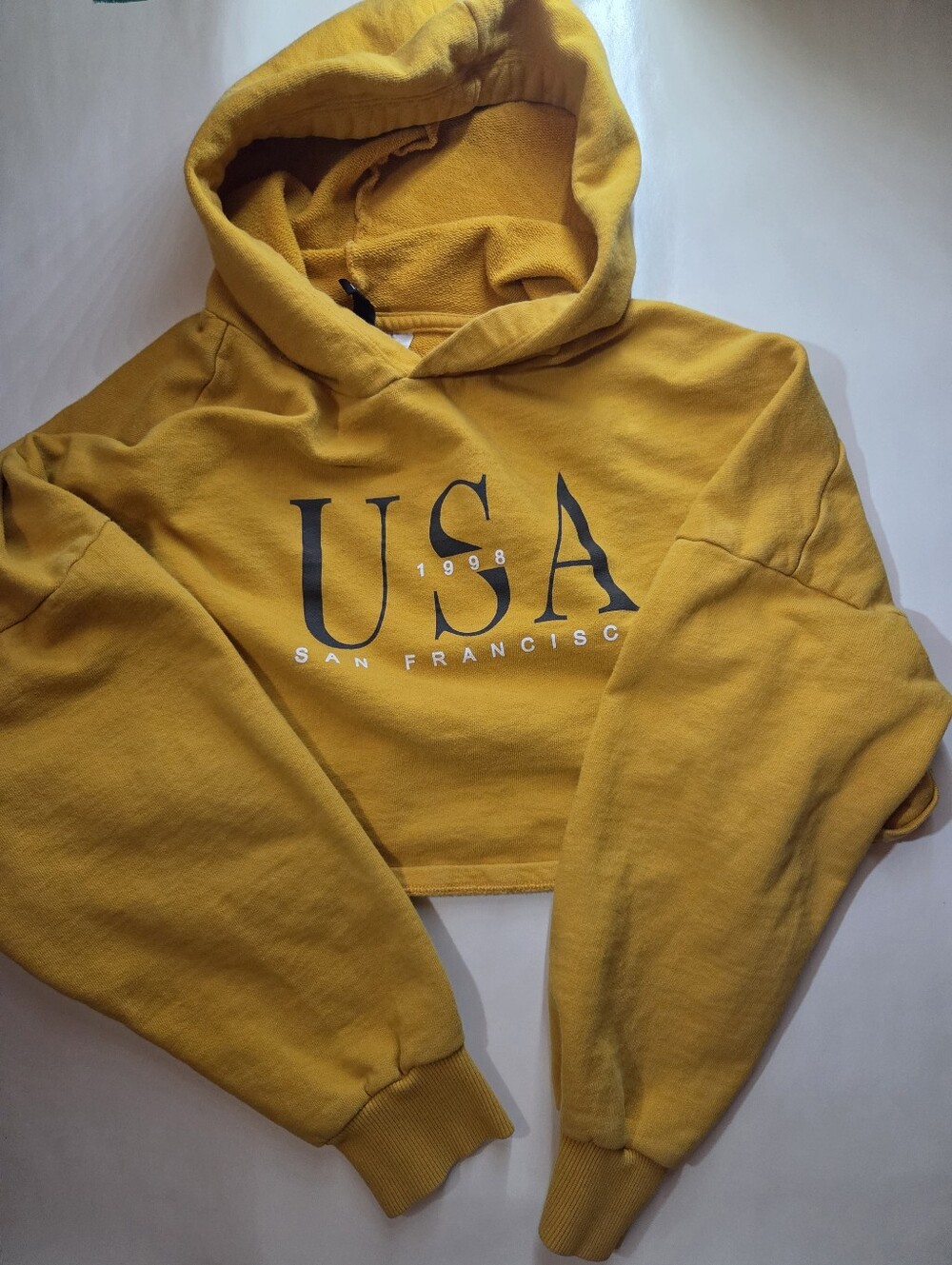 Small cropped hoodie